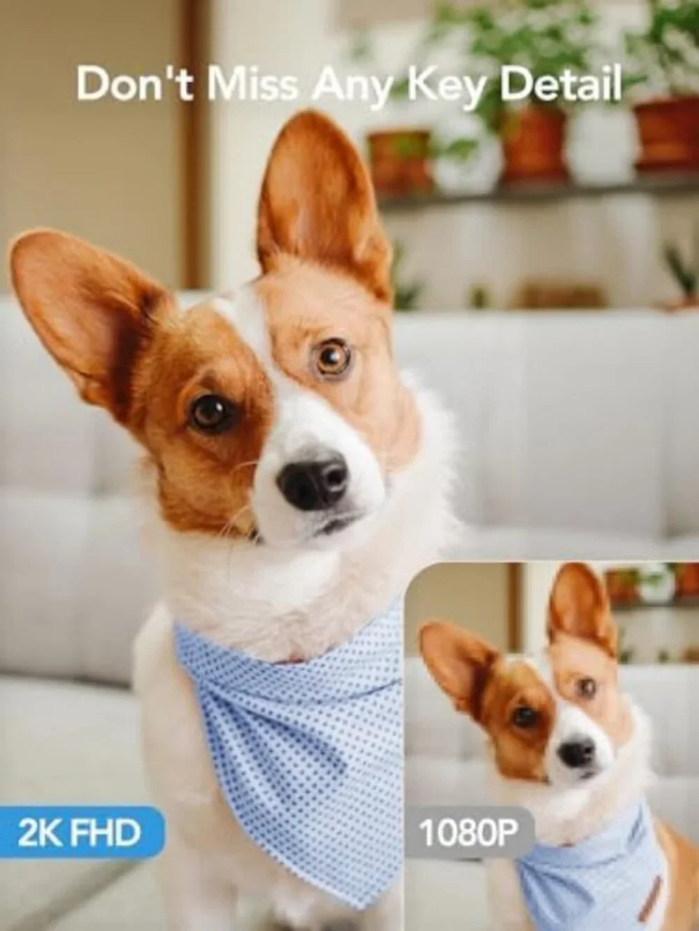 Indoor Home Security Cameras for Pets, Dogs & Babies - 4 Pack with Phone App